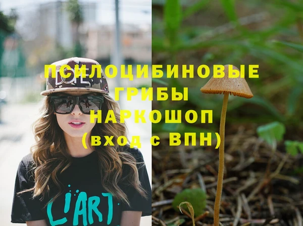 молекула духа Алексин